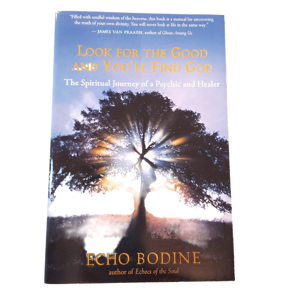 Look for the Good and You'll Find God - Echo Bodine Psychic & Healer Journey