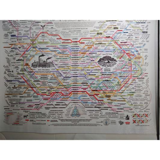 Holistic Medicine vs Big Pharma Flowchart Canvas Print – Educational Health Chart (Unframed, 18x12")