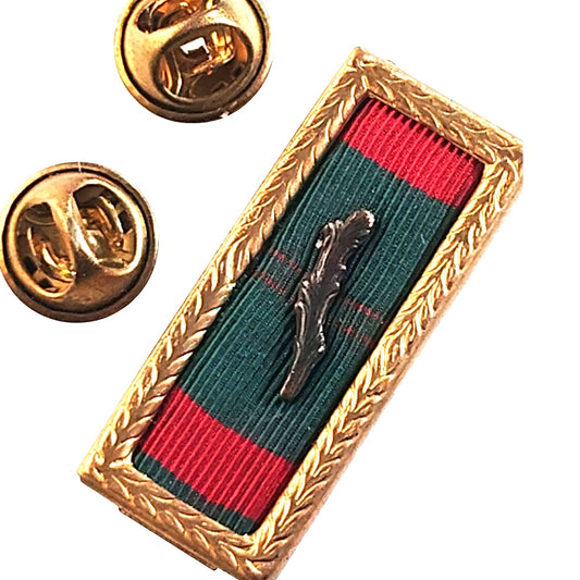 Lapel/Brooch Pin- Republic of Vietnam Civil Action Unit Citation w/ 1 Palm Leaf