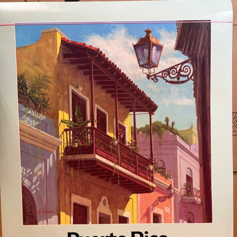 Vintage Delta Air Lines Puerto Rico Travel Poster - J. Sawa Signed, 28" x 22"