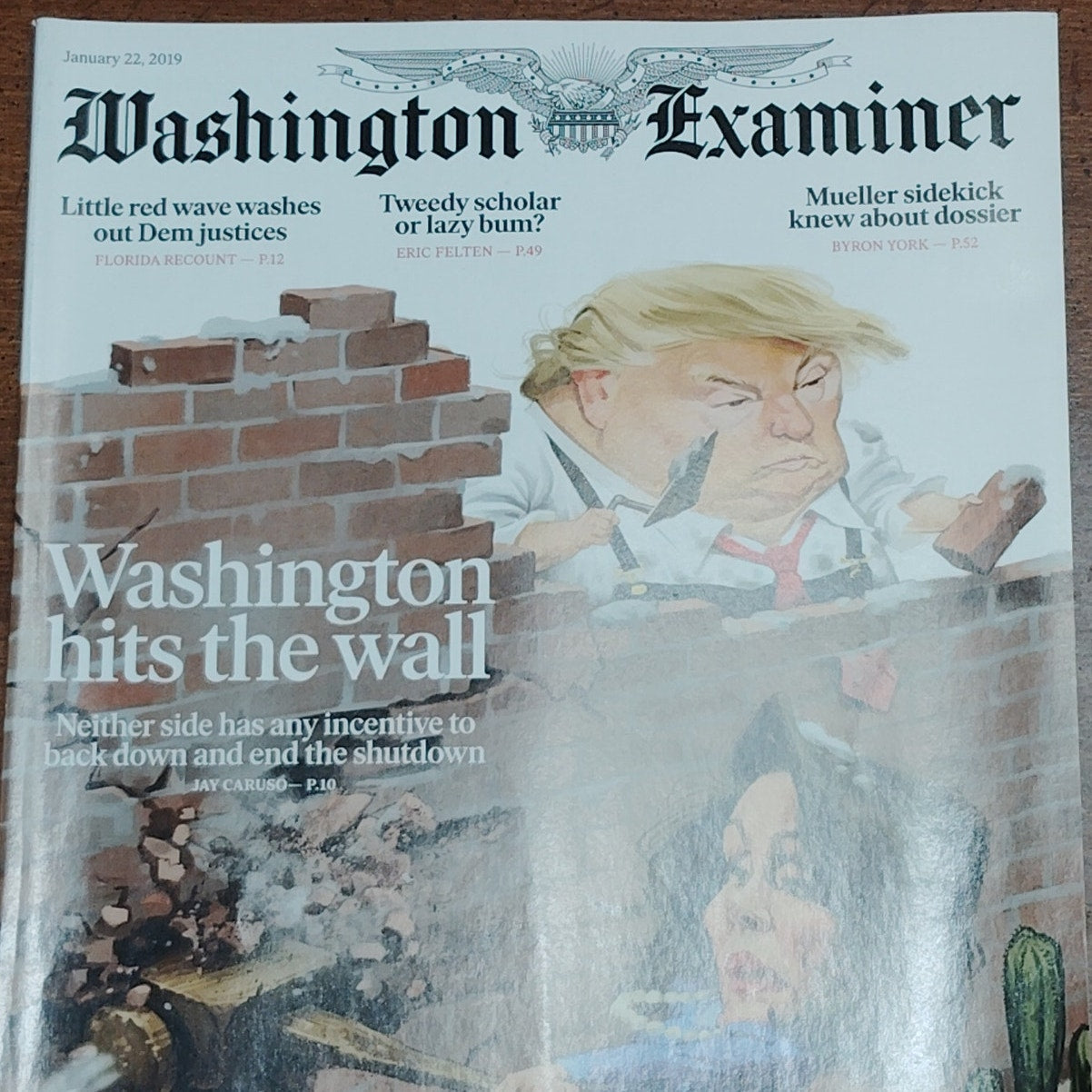 Washington Examiner Magazine - January 22, 2019 - "Washington Hits the Wall"