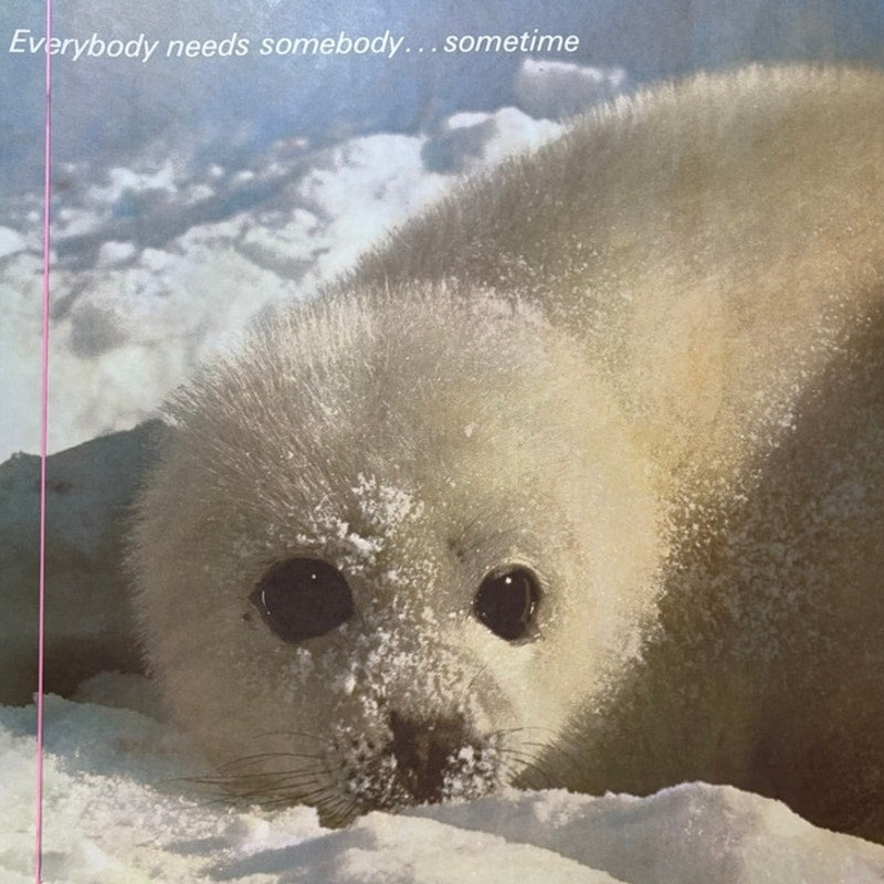 VTG 1970s Baby Seal "Everybody Needs Somebody...Sometime" 36" x 24" Poster