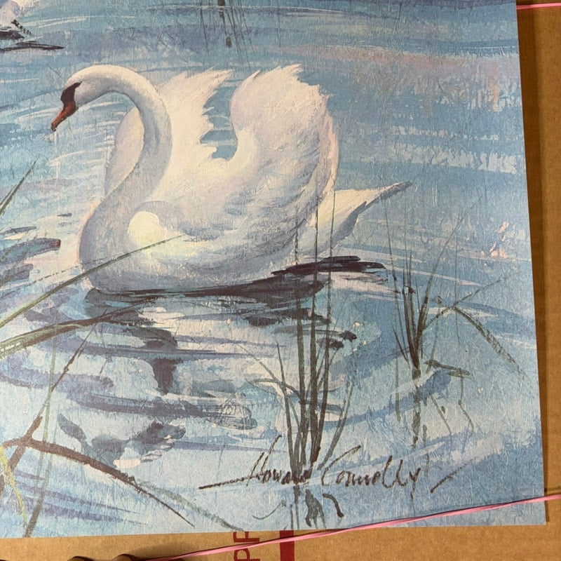 Vintage Howard Connelly "Swine" Poster Print - White Swans Pond Art 20x16"