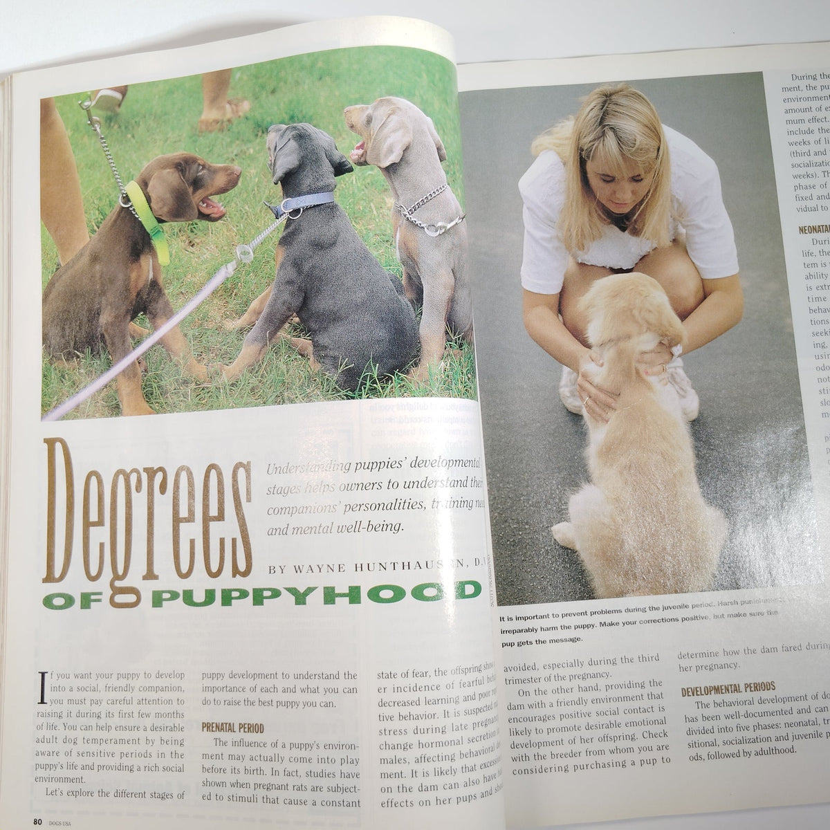 Dogs USA 1997 Annual Puppy Buyer's Guide & Owner's Manual Magazine Rottweiler