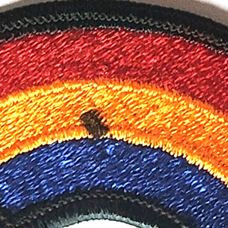 US Army 42nd Infantry Division Rainbow Patch 3‑1/4" × 1‑3/8" Patch