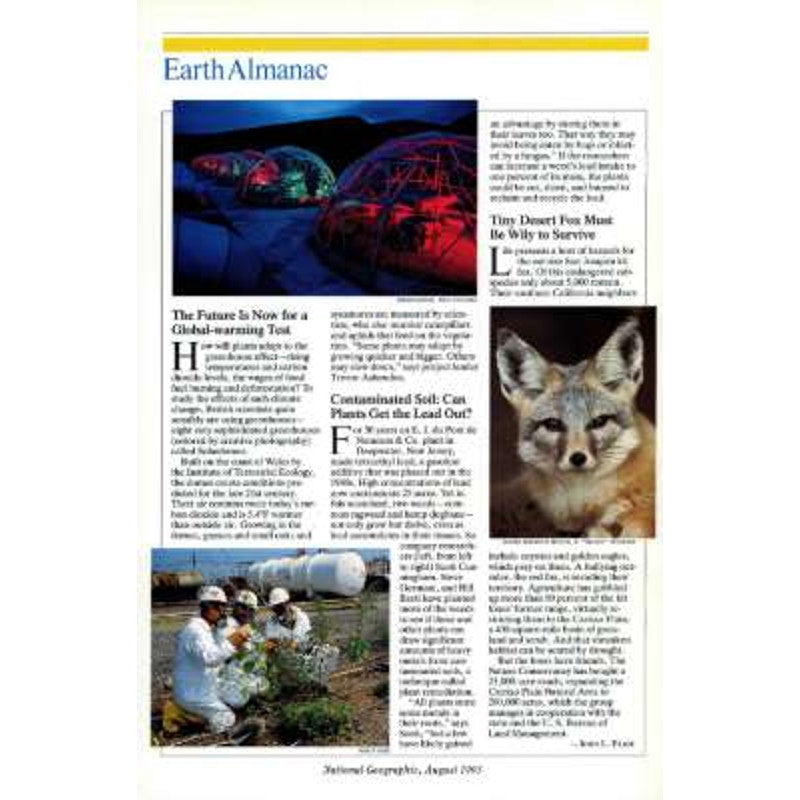 National Geographic August 1993 -Cumberland River, Horn of Africa, Tibet's Remote Chang Tang, Sweden, Bacteria Old Bugs-New Tricks...