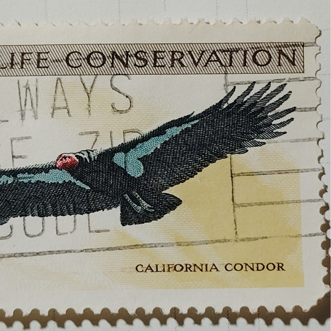 1971 US Postage Stamp #1430 Wildlife Conservation California Condor 8c Used