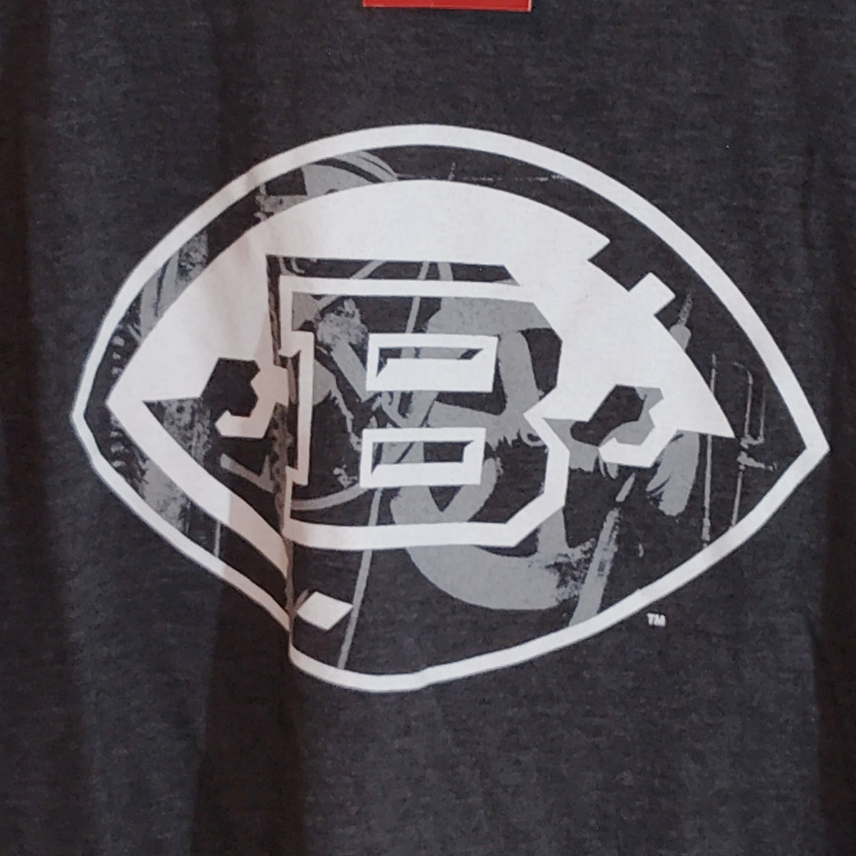 Birmingham Iron AAF T-Shirt L G-III Carl Banks Alliance American Football Gray