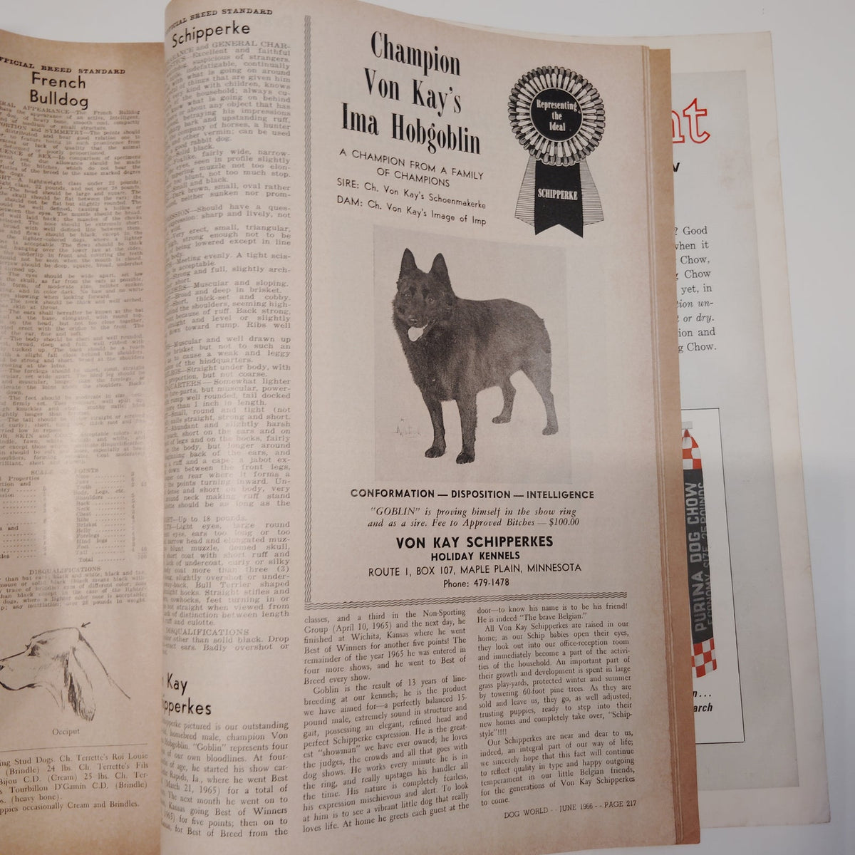 Dog World Magazine June 1966 Special Standards Issue 132 Breeds Lhasa Apso