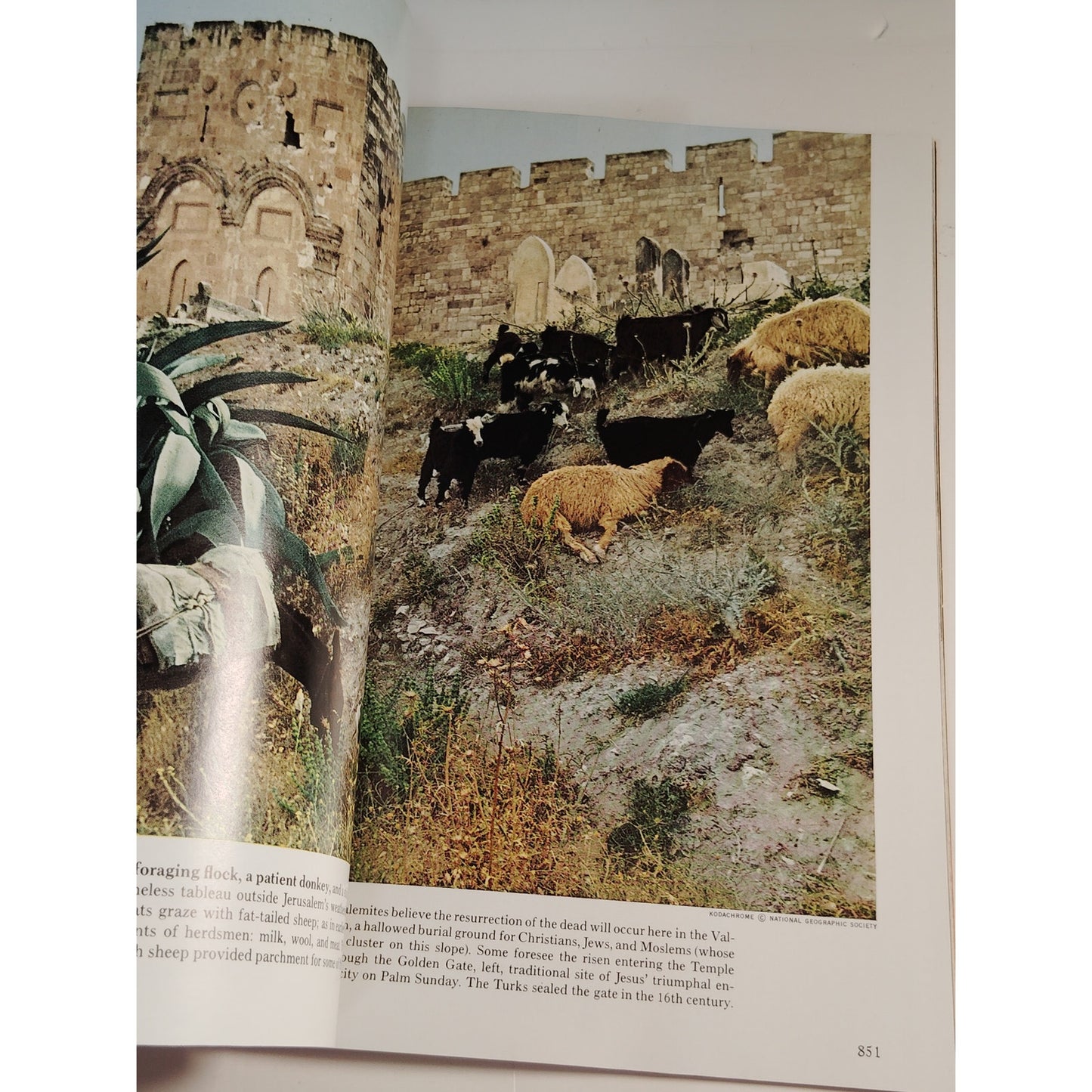 National Geographic – December 1968, Mekong River, Jerusalem, Komodo Dragons