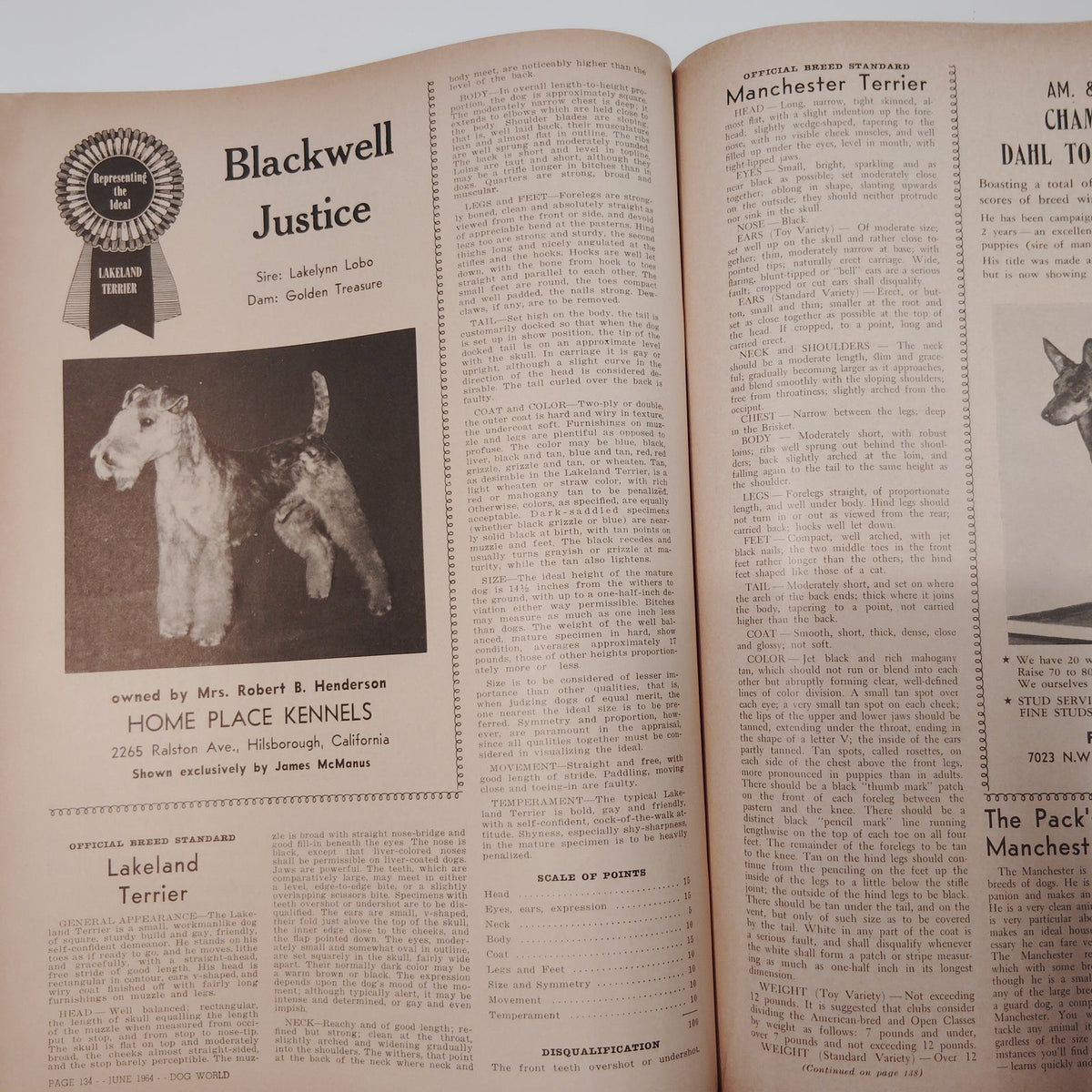 Dog World Magazine June 1964 Special Standards Issue 132 Breeds Vintage