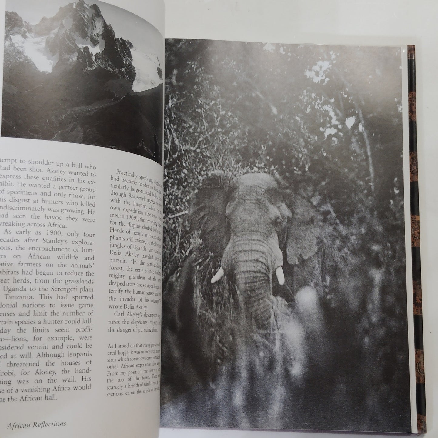 American Museum of Natural History 125 Years Expedition Discovery 1995 Hardcover