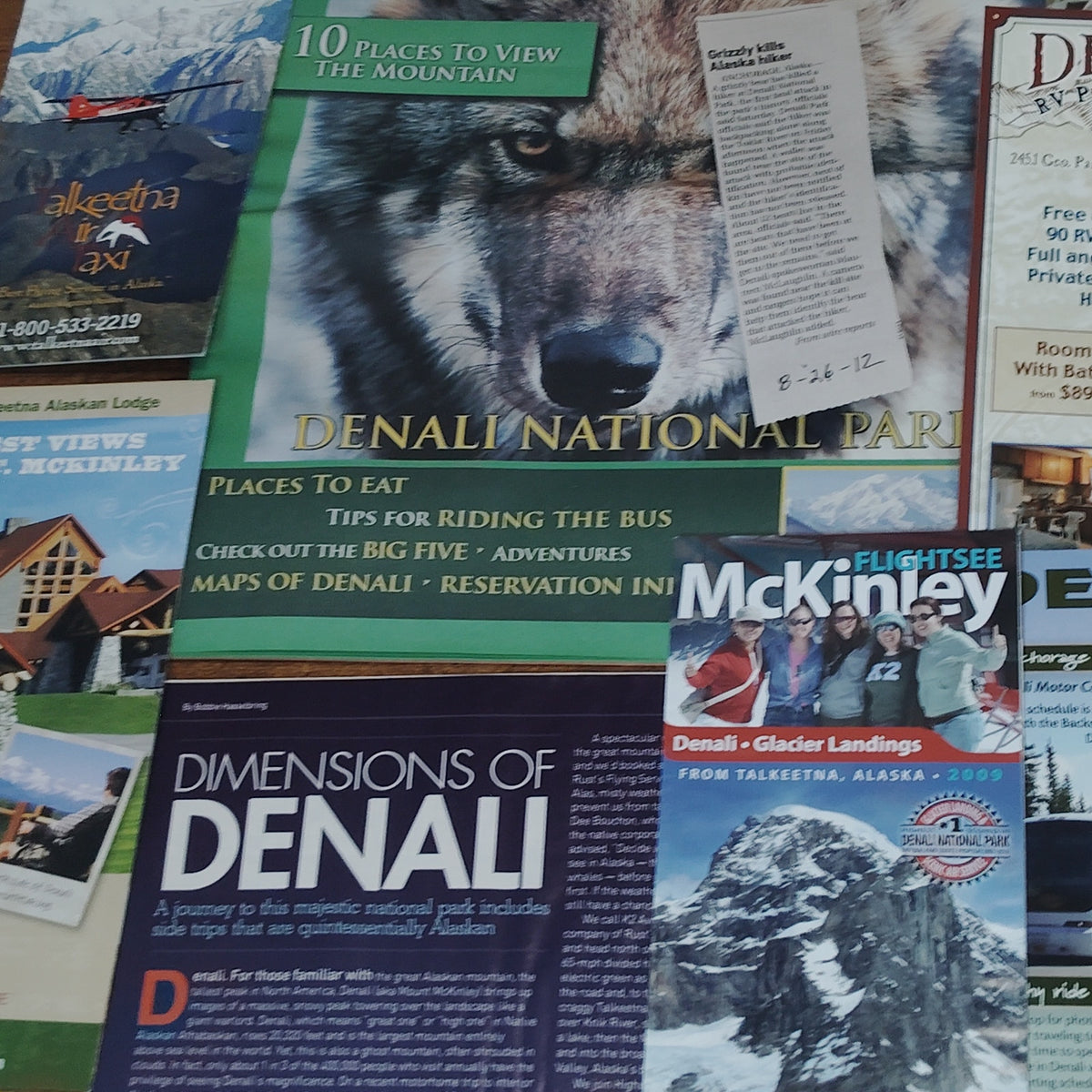 Vintage Denali National Park Alaska 2009 Travel Ephemera Souvenir Lot