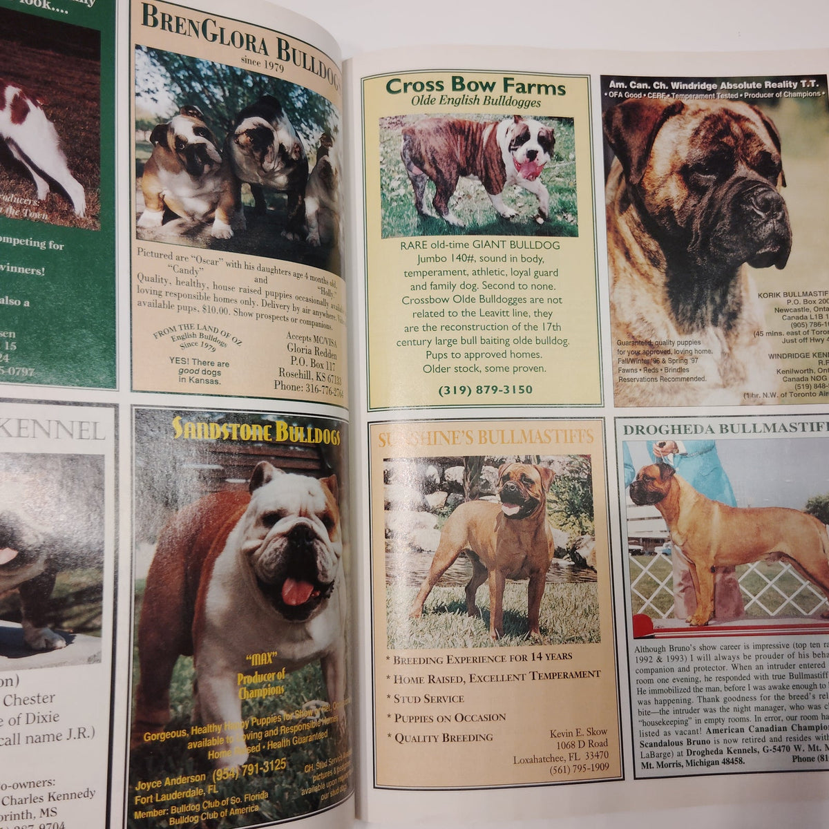 Dogs USA 1997 Annual Puppy Buyer's Guide & Owner's Manual Magazine Rottweiler