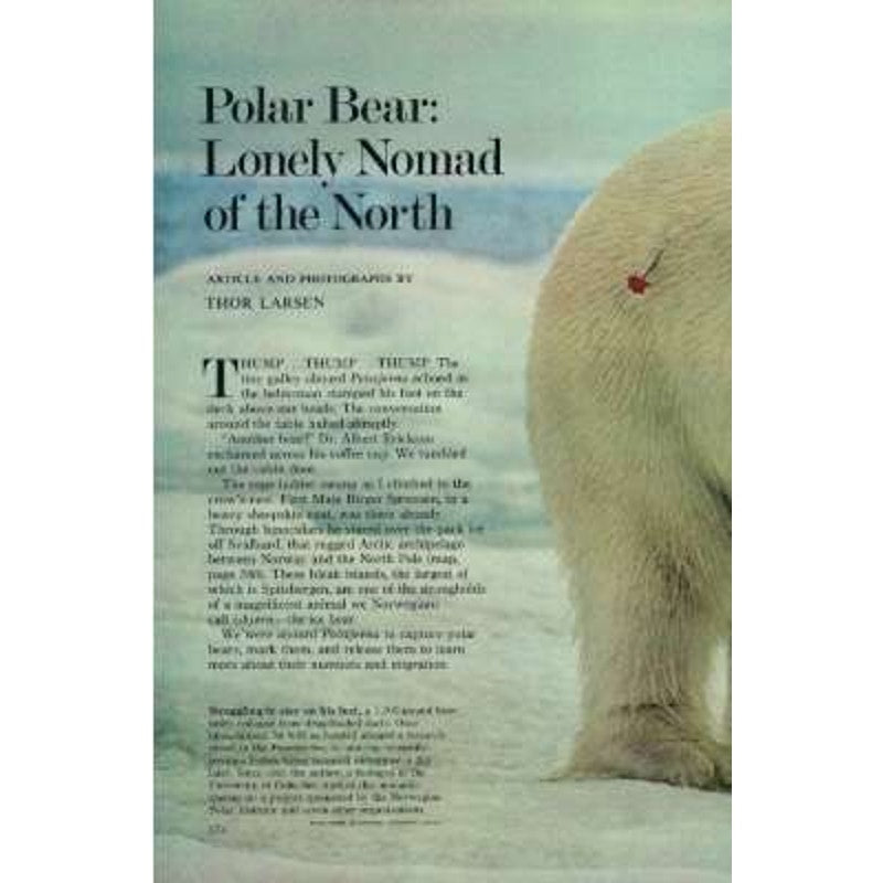 National Geographic Magazine April 1971, Hungary, Maui, Ireland, Polar Bears ...