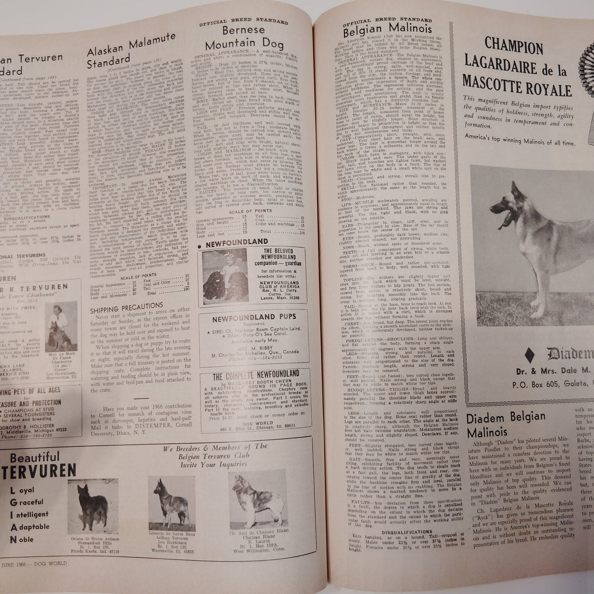 Dog World Magazine June 1966 Special Standards Issue 132 Breeds Lhasa Apso