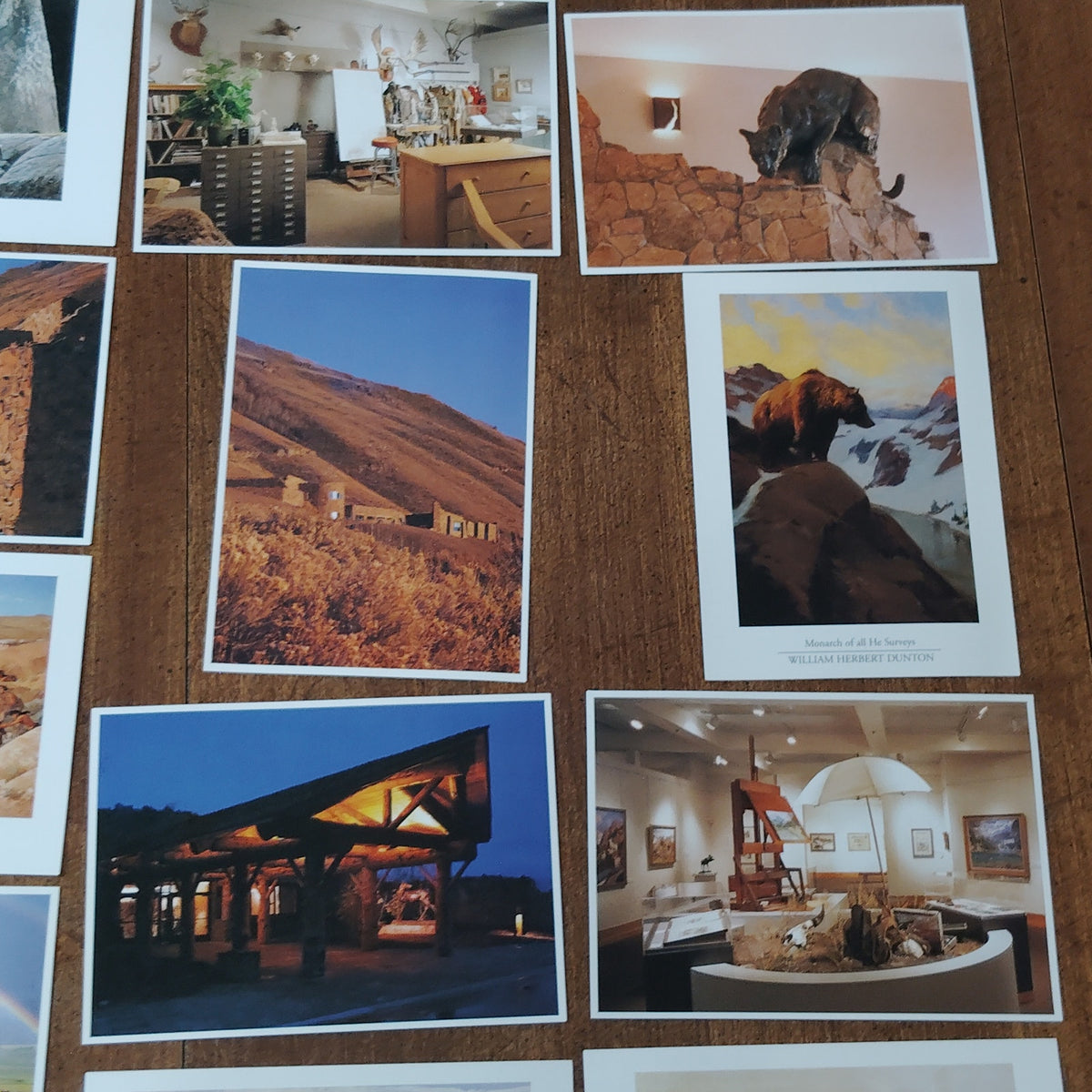National Museum of Wildlife Art Postcard Set - Wildlife Paintings & Sculptures