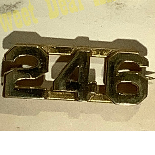 Early/Mid 1900s Brass C-Clasp Number "246" Collar Device 3/8"H Hat / Lapel Pin