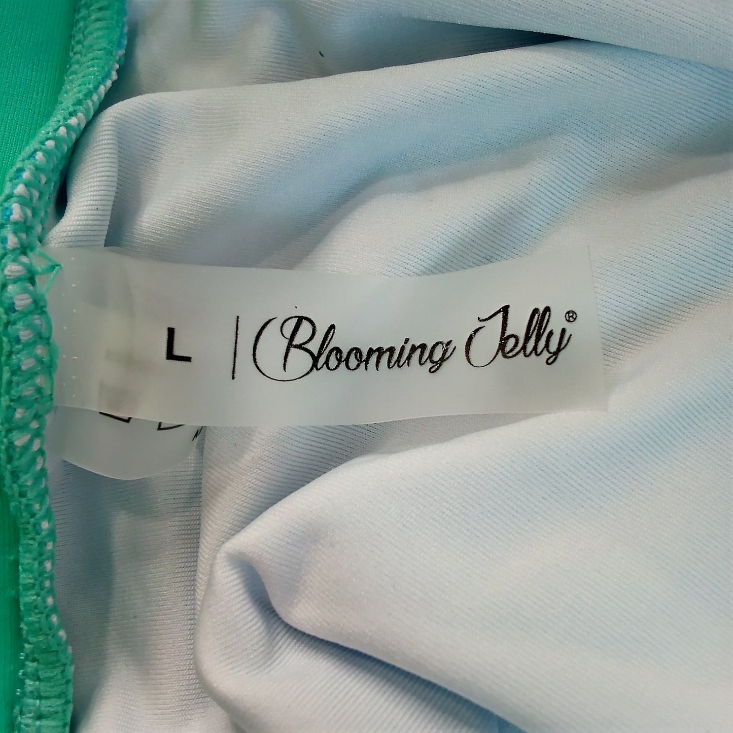 Blooming Jelly Bikini Bottoms Blue Green Trim Women’s Swim Briefs Size Large