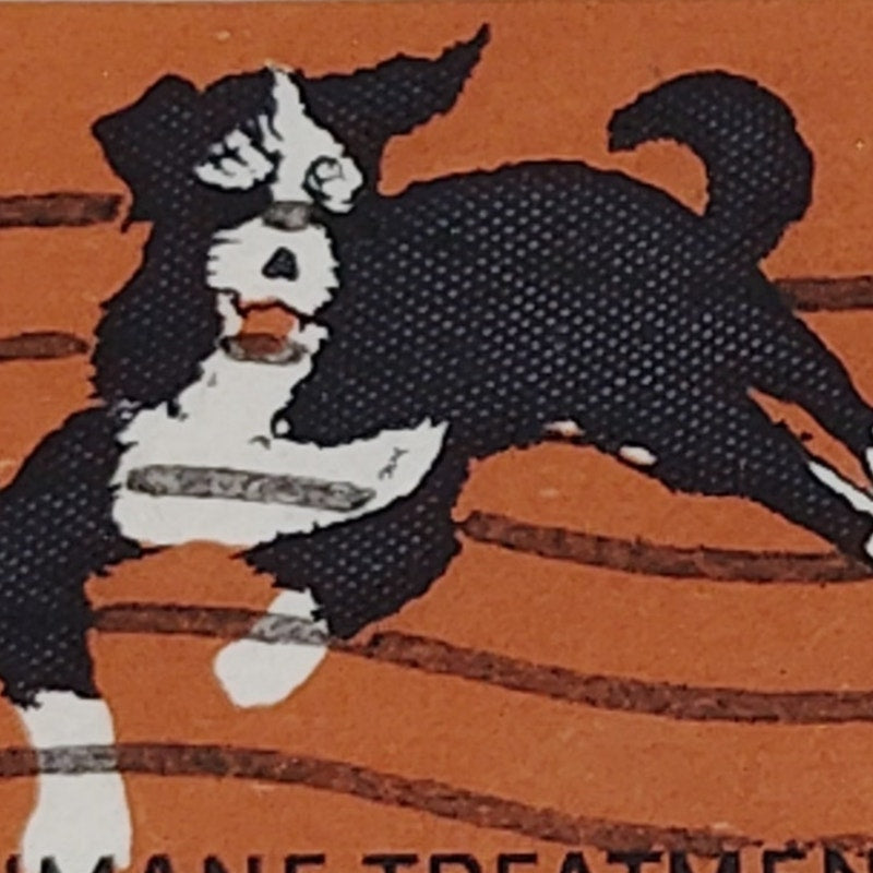 1966 Scott #1307 – 5¢ Humane Treatment of Animals / ASPCA Centennial