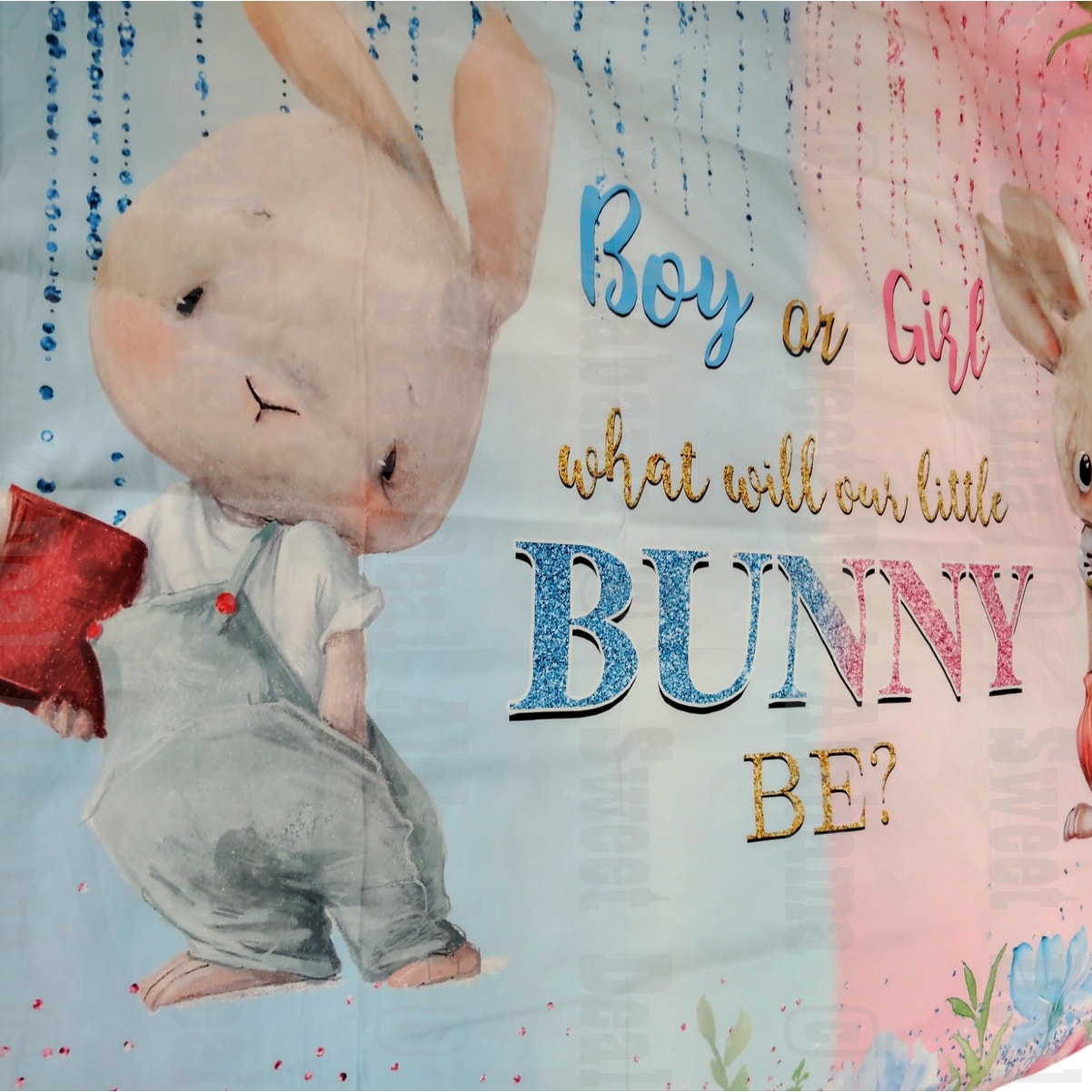 Bunny Gender Reveal Backdrop "Boy Or Girl What Will Our Little Bunny Be?" 6'H x 9'L