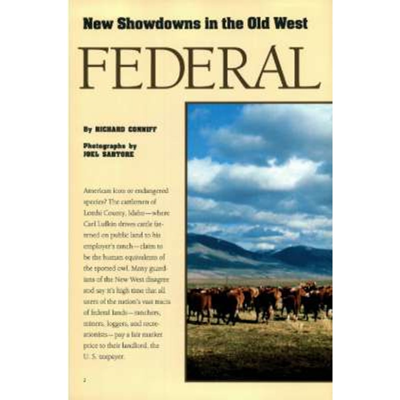 National Geographic Magazine FEB 1994 Canada Rivers, Federal Lands, Connecticut, Sea Turtles: In a Race for Survival, Hunstein Forest