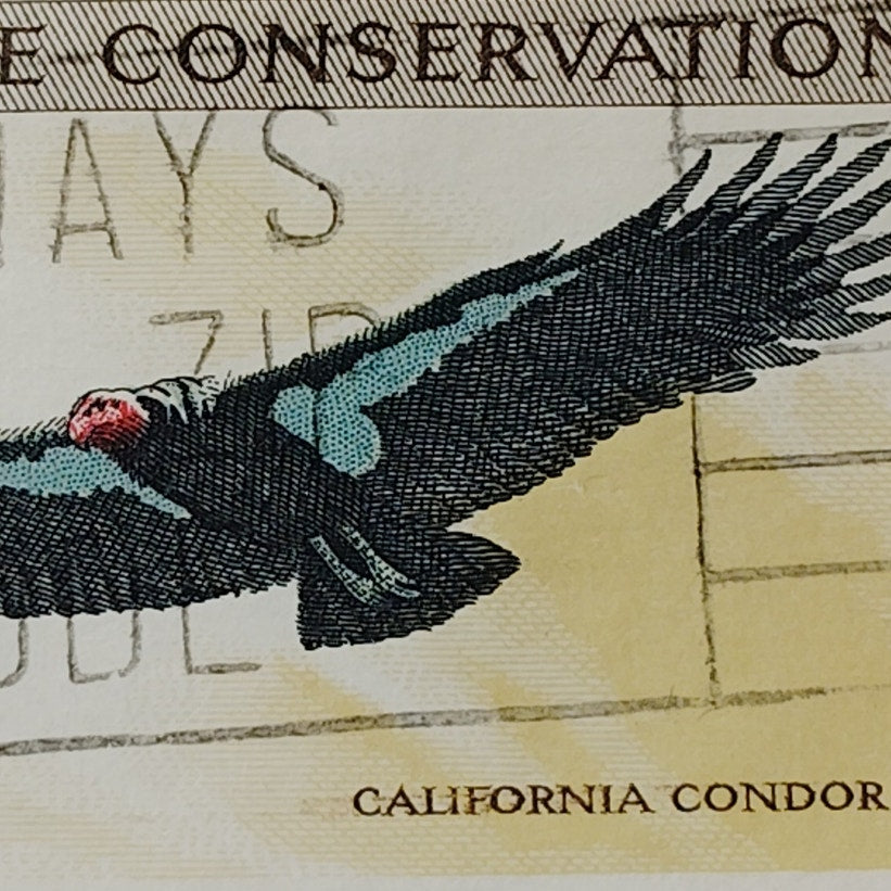 1971 US Postage Stamp #1430 Wildlife Conservation California Condor 8c Used