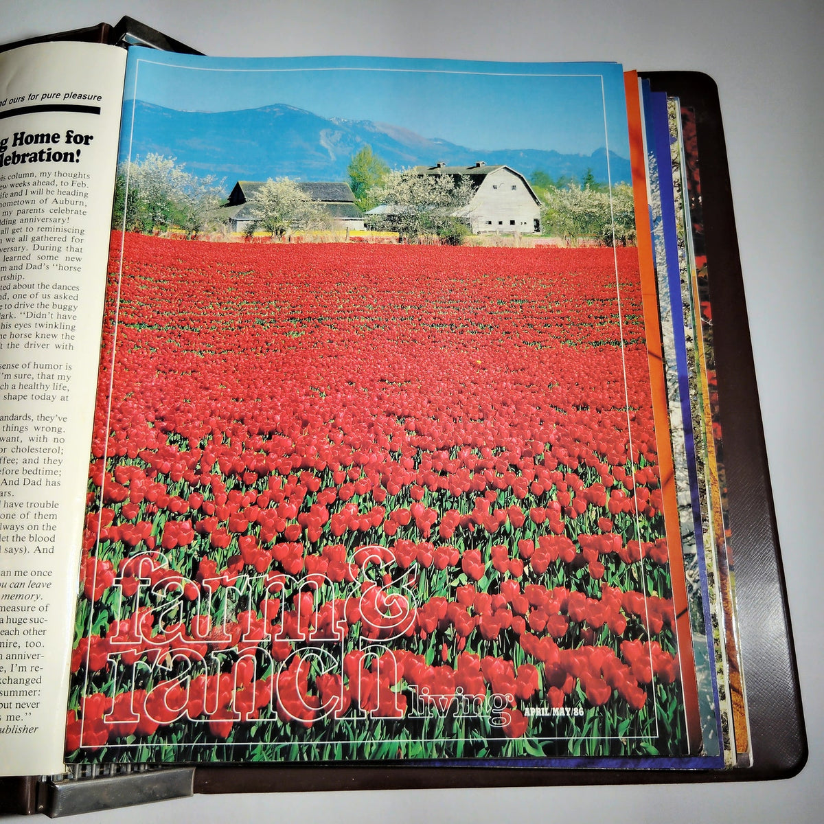 Vintage Farm & Ranch Living 1986-1987 Bound Magazine Lot of 11 in Reiman Binder