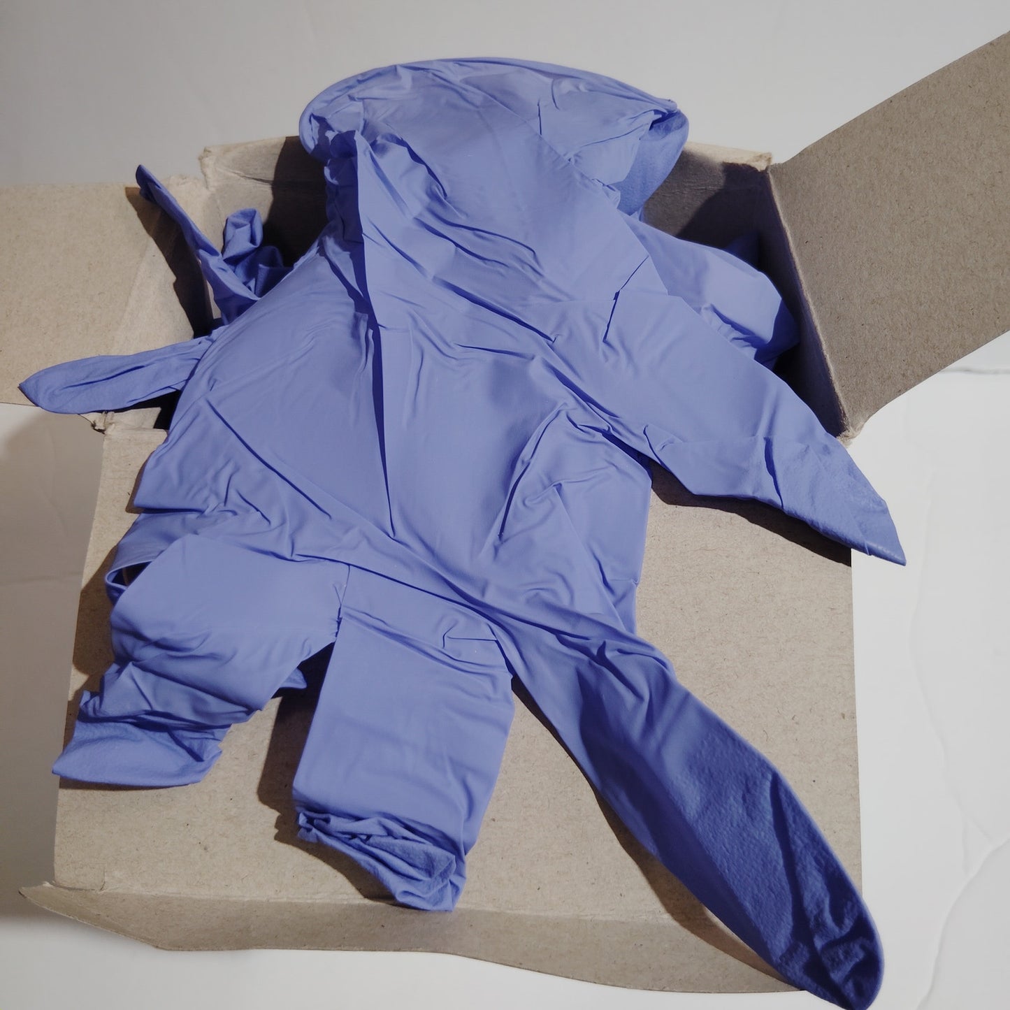 Disposable Nitrile Gloves, L, Non‑Sterile, Powder‑Free, Latex‑Free, 1 Box of 200