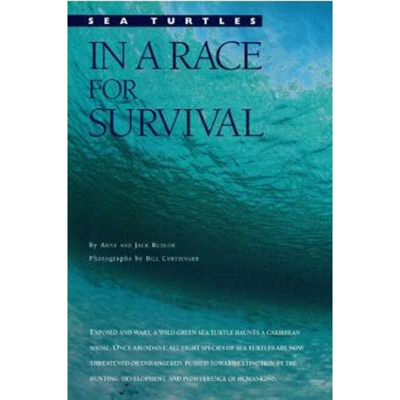 National Geographic Magazine FEB 1994 Canada Rivers, Federal Lands, Connecticut, Sea Turtles: In a Race for Survival, Hunstein Forest