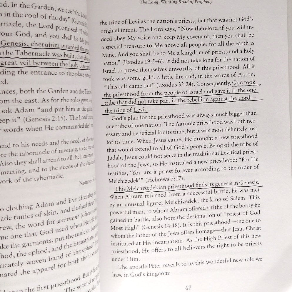 The Last Hour by Amir Tsarfati & David Jeremiah (Paperback, 9780800799120)
