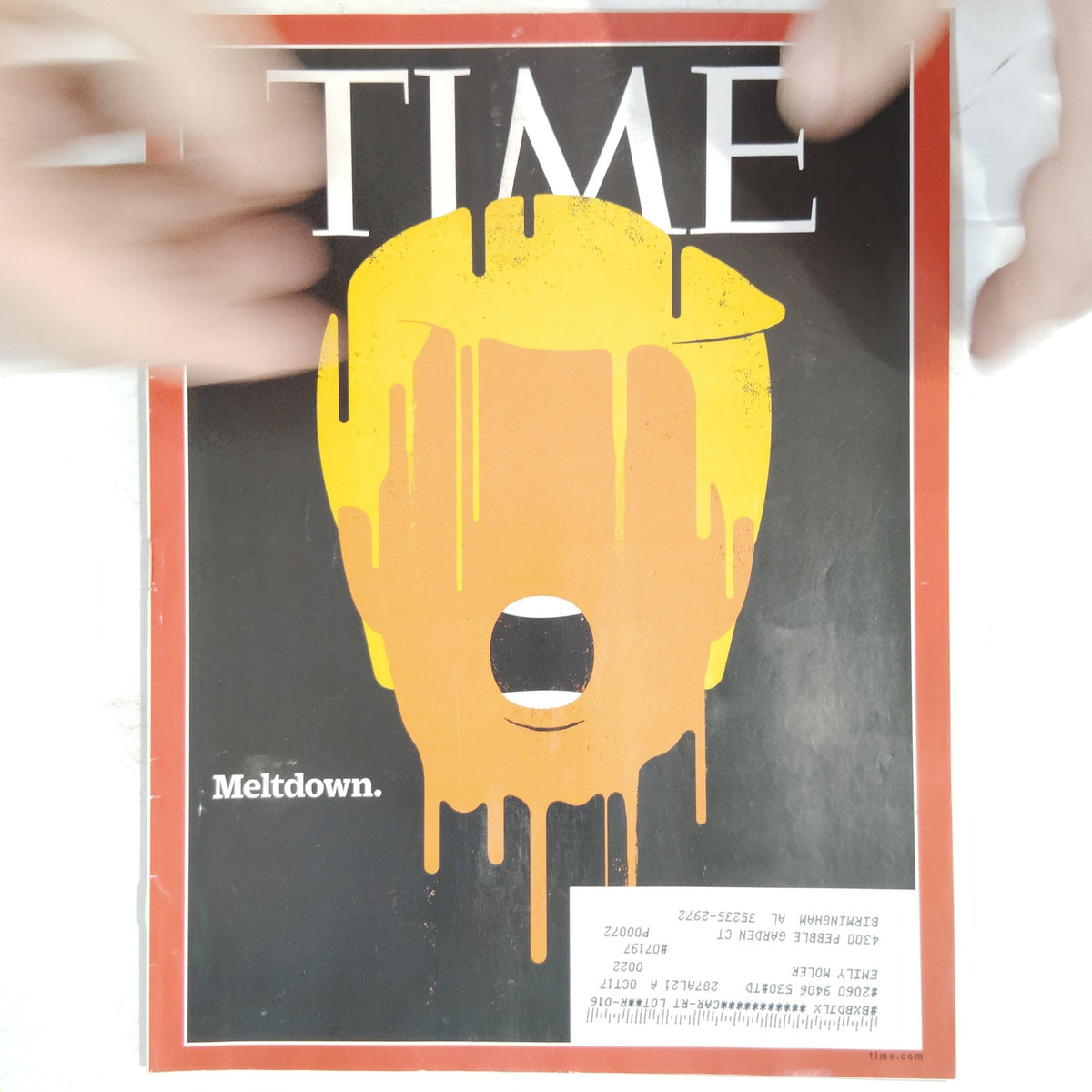 TIME Magazine August 22 2016 Trump Meltdown Back Issue Edel Rodriguez