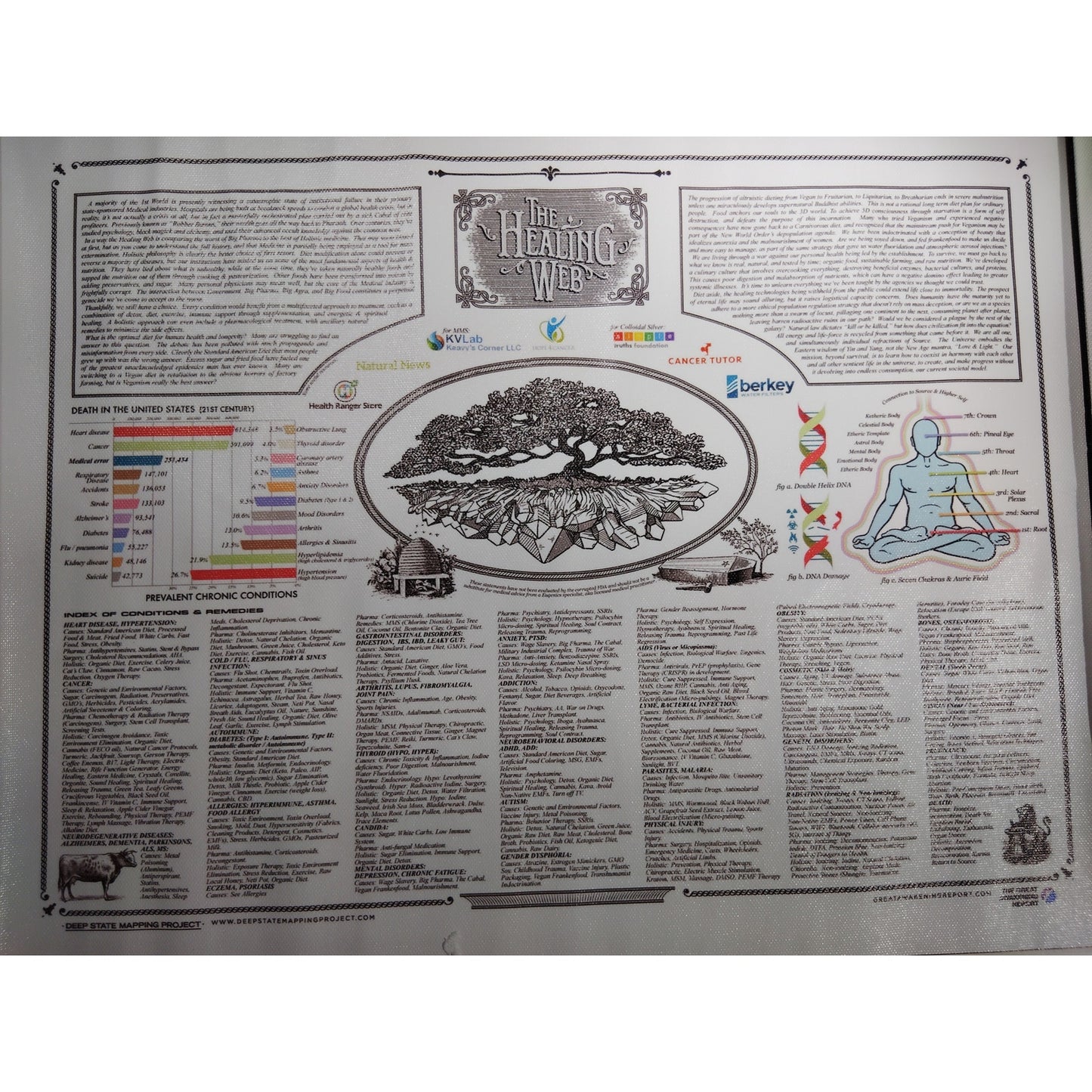 The Healing Web Canvas Print Holistic Health, Alternative Medicine & Wellness, 16x12" Unframed