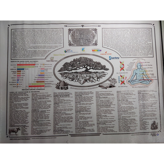 The Healing Web Canvas Print Holistic Health, Alternative Medicine & Wellness, 16x12" Unframed