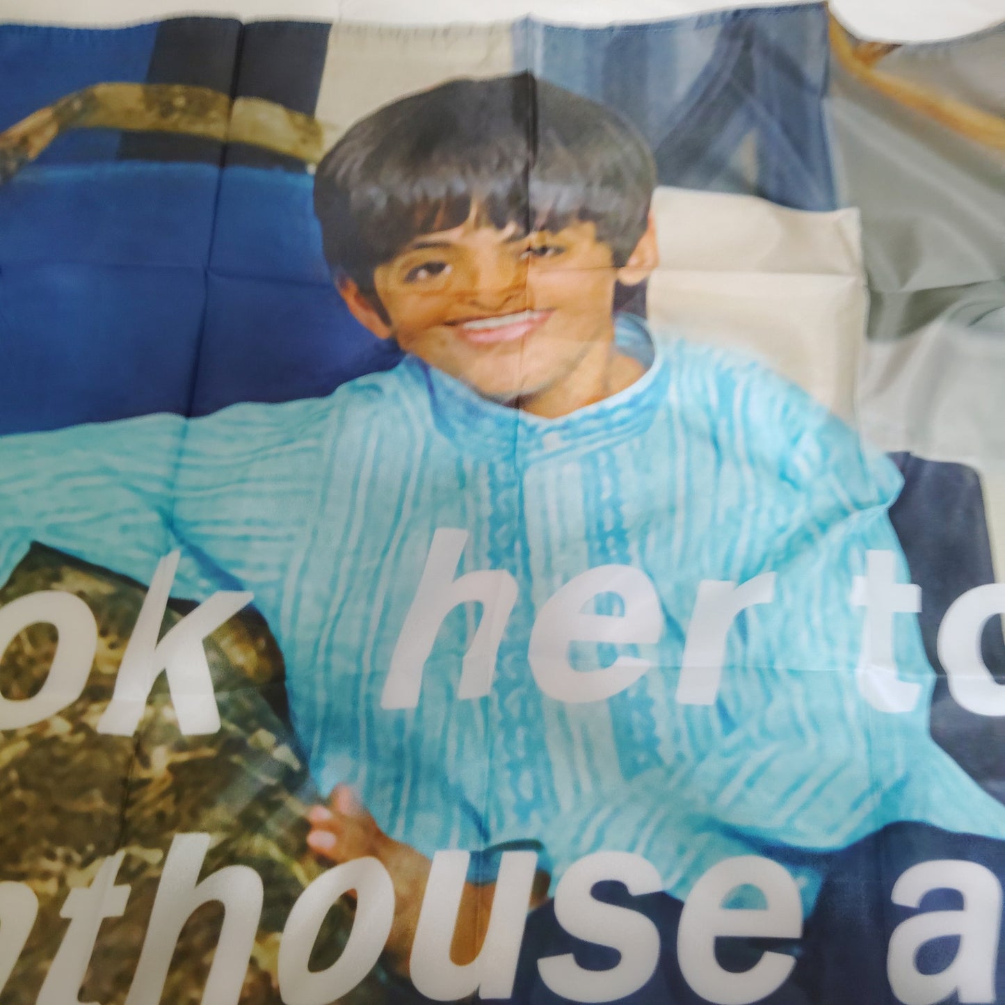 “I Took Her To My Penthouse and I Freaked It” Flag 3x5 Ft – Funny Meme Tapestry Flag