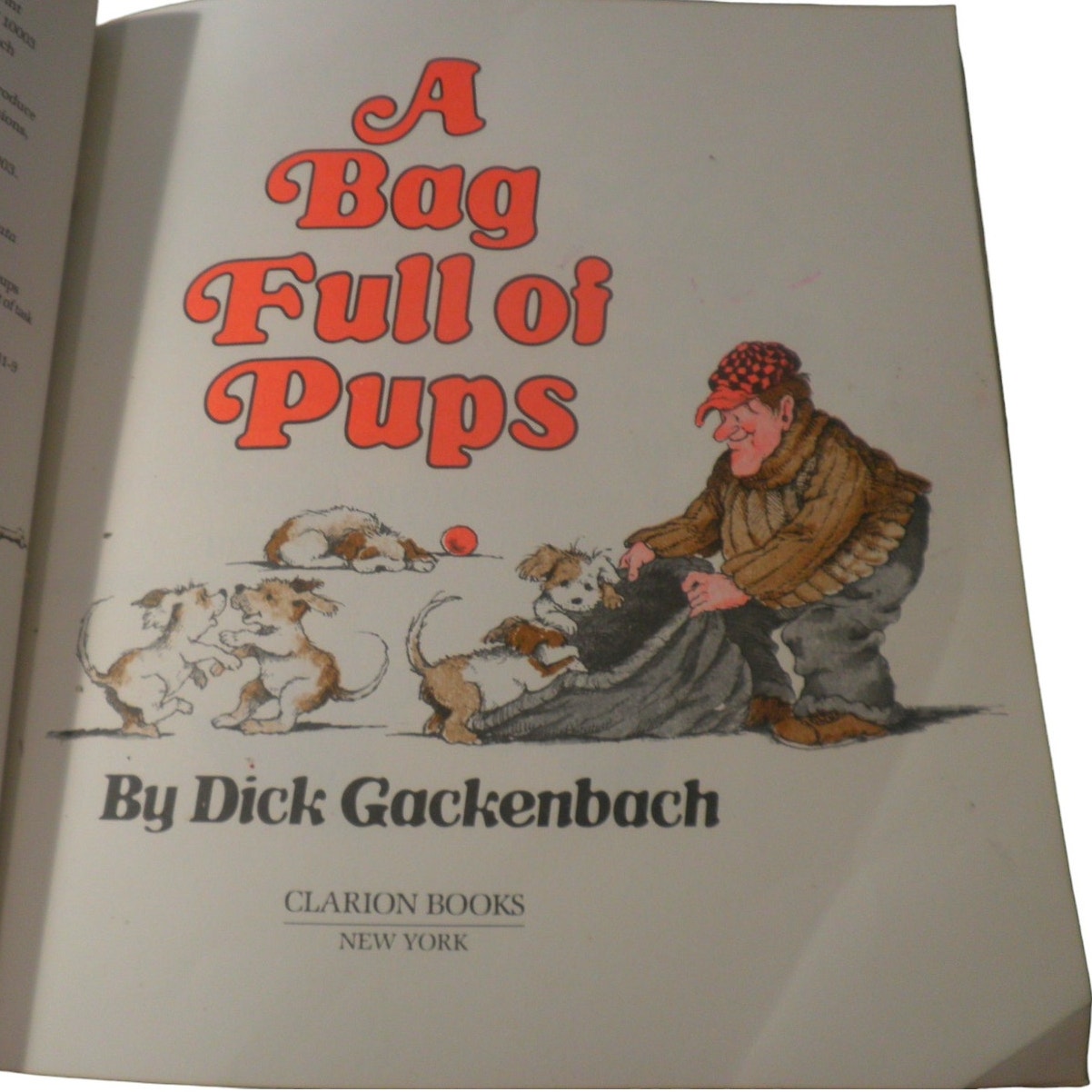 Houghton Mifflin Mathmatics: Bag Full Pups Pa Paperback – 1981, Clarion Books