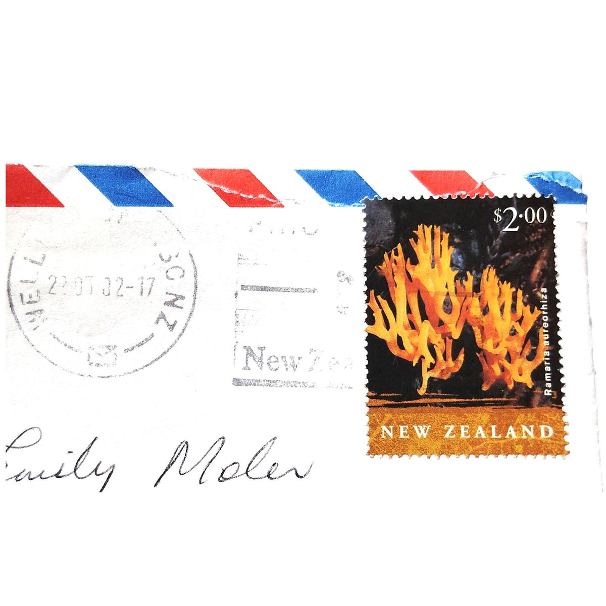 New Zealand 2002 $2.00 Ramaria aureorhiza Fungi Stamp Airmail Cover to USA
