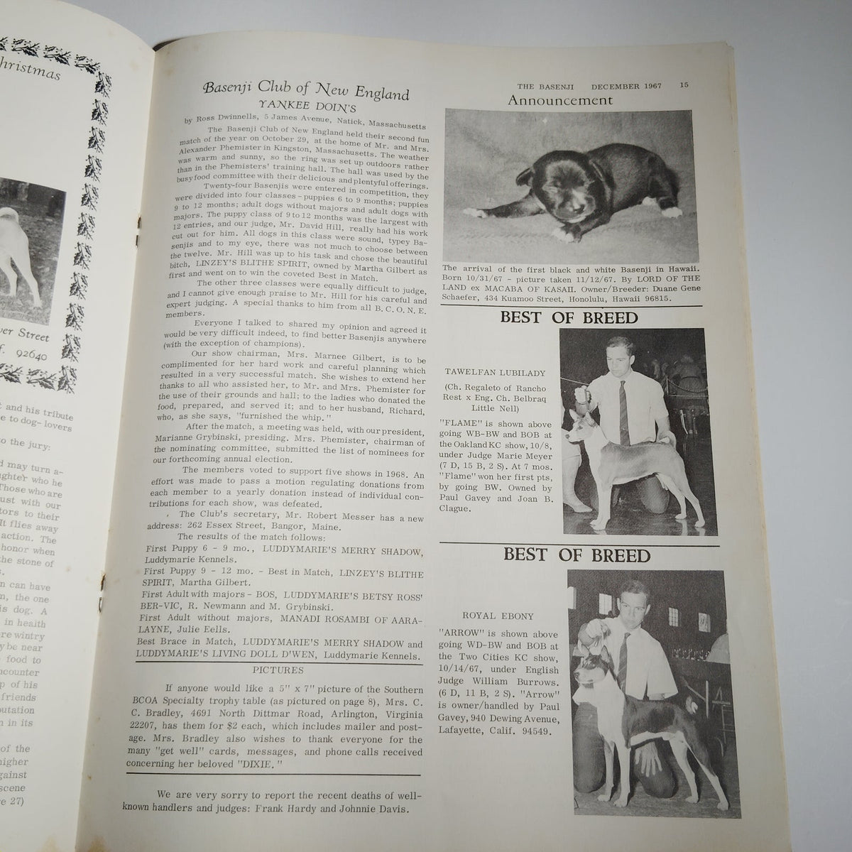 Vintage The Basenji Dog Magazine December 1967 Christmas Issue Vol IV No 12