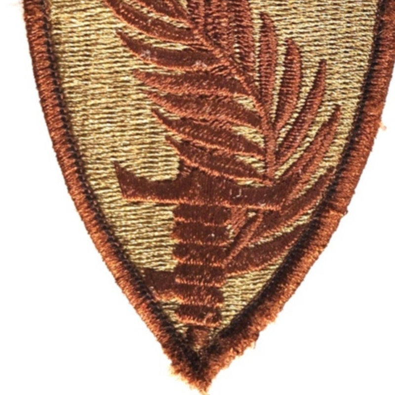 Vtg US Army CENTCOM Patch Desert Subdued 3‑1/2" × 2‑1/8" Hook Back, Embroidered
