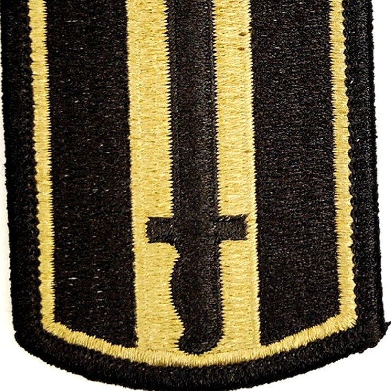 US Army 193rd Infantry Brigade Patch OCP Scorpion Hook Back 3 × 2" Merrowed Edge