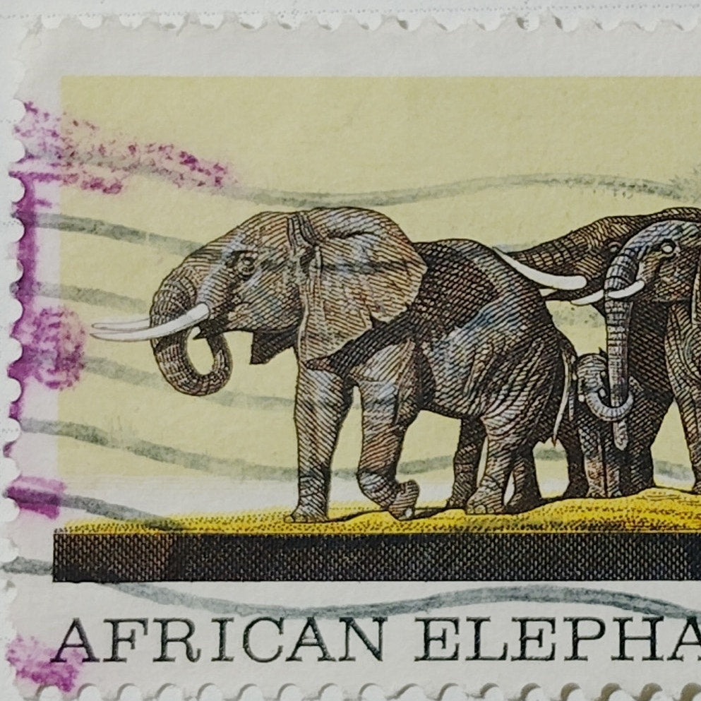1970 US Postage Stamp #1388 African Elephant Herd Natural History 6c Used