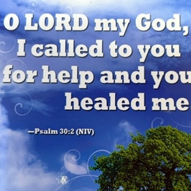 Christian Scripture Fridge Magnet Psalm 30:2 Sky Tree Clouds Vinyl 4.5x3.5