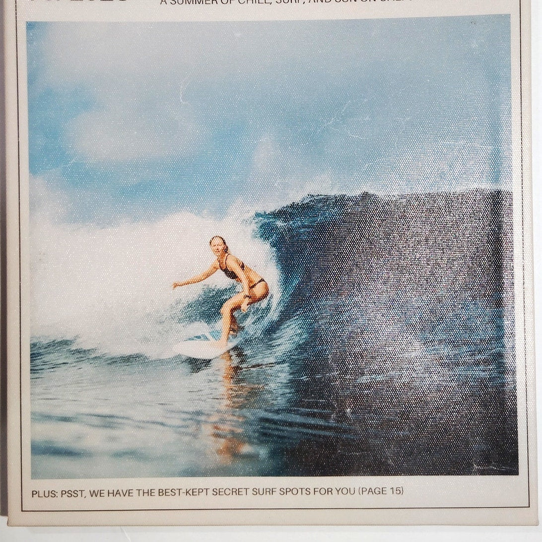 Coastal Life Preppy Surf Canvas Framed Wall Art Retro Magazine Style 15.6x11.8"
