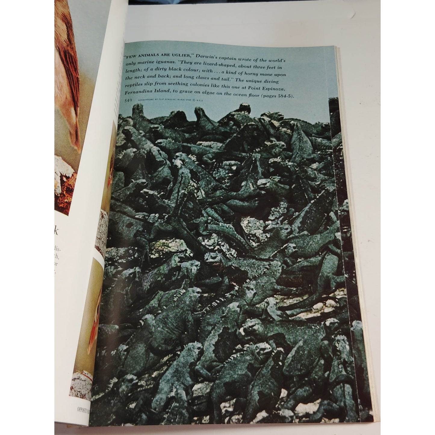 National Geographic Magazine – April 1967 | The Rhine, Galapagos & Athens