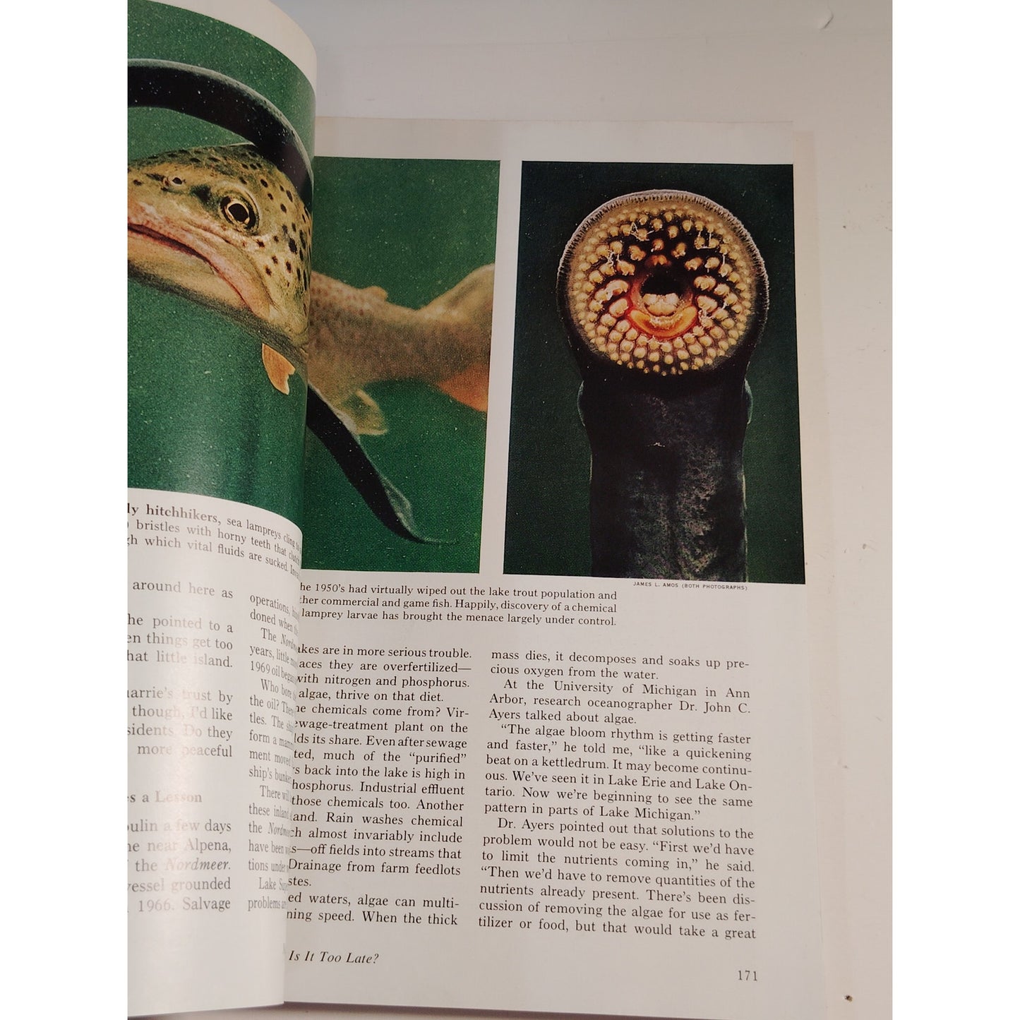 National Geographic Magazine – August 1973, Great Lakes, Arctic Ice, Algeria