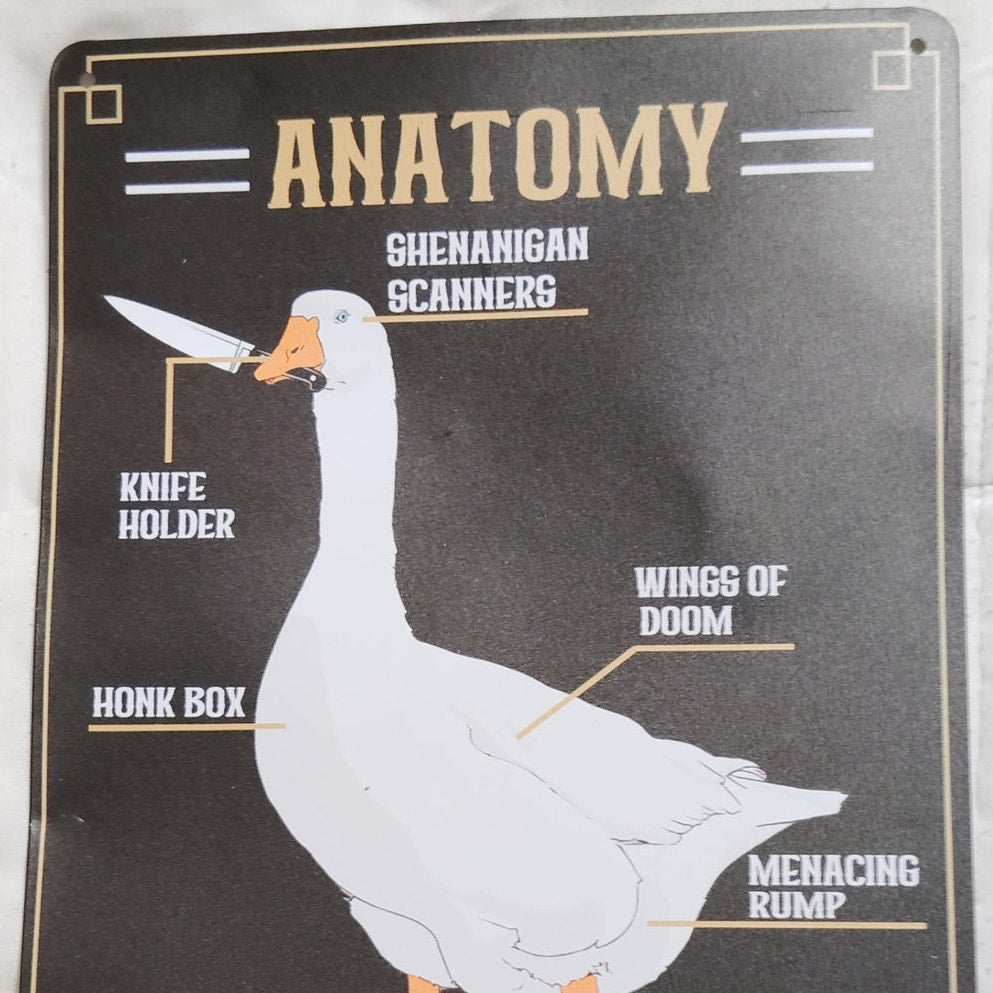 Anatomy of a Goose 12x8 Retro Tin Sign – Funny Goose Diagram – Chaos Flippers & Honk Box Humor