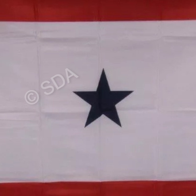 Military Families One Blue Star in Service Flag, 3' x 5' 100D Poly Flag / Banner