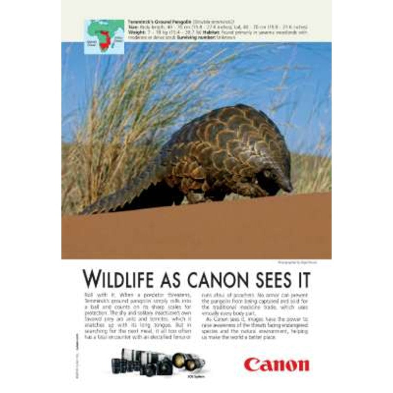 National Geographic SEP 2016, Grand Canyon, Fur Trade, Blindness Heat Wave &More
