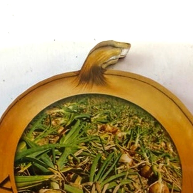 Vintage Vidalia Georgia Onion Souvenir Fridge Magnet Acrylic Die Cut Shape 2.25"