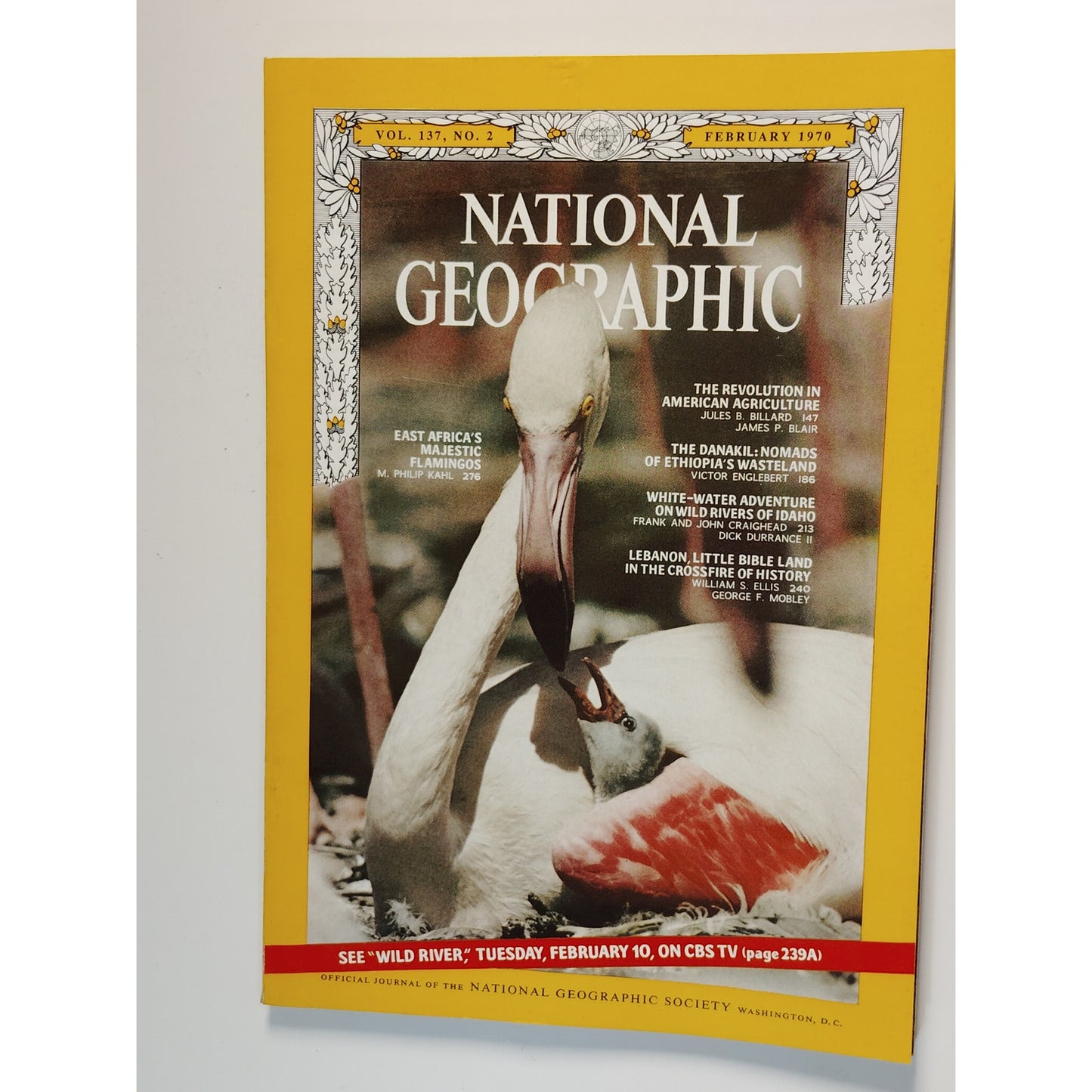 National Geographic Magazine Feb. 1970, Lebanon Conflict, East Africa Flamingos